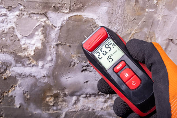 Trusted Canadian, TX Mold Remediation Experts