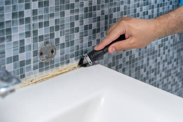 Best Residential Mold Remediation in Canadian, TX