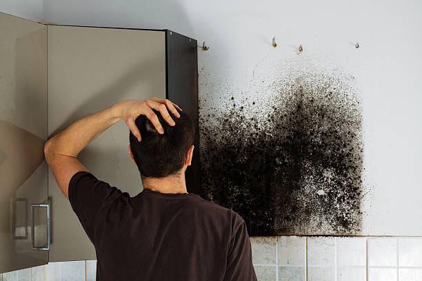 Best Health and Safety Mold Remediation in Canadian, TX